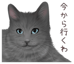zumo cats sticker vol.3 (Japanese) sticker #8608382