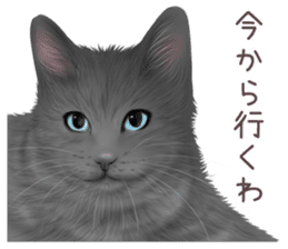 zumo cats sticker vol.3 (Japanese) sticker #8608382