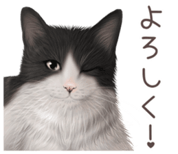 zumo cats sticker vol.3 (Japanese) sticker #8608383