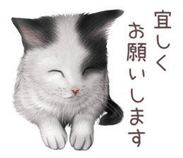 zumo cats sticker vol.3 (Japanese) sticker #8608384