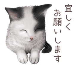 zumo cats sticker vol.3 (Japanese) sticker #8608384