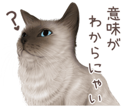 zumo cats sticker vol.3 (Japanese) sticker #8608385