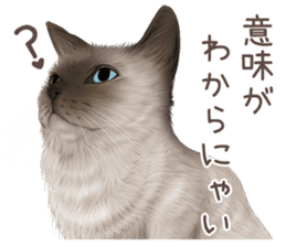 zumo cats sticker vol.3 (Japanese) sticker #8608385