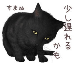 zumo cats sticker vol.3 (Japanese) sticker #8608386
