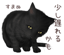 zumo cats sticker vol.3 (Japanese) sticker #8608386