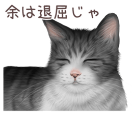 zumo cats sticker vol.3 (Japanese) sticker #8608387