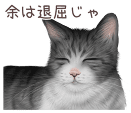 zumo cats sticker vol.3 (Japanese) sticker #8608387