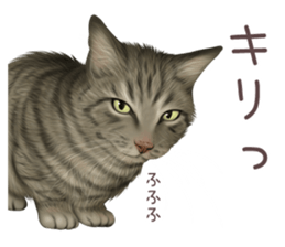 zumo cats sticker vol.3 (Japanese) sticker #8608388