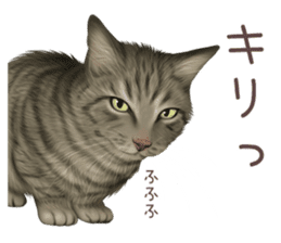 zumo cats sticker vol.3 (Japanese) sticker #8608388