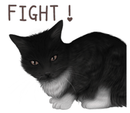 zumo cats sticker vol.3 (Japanese) sticker #8608389