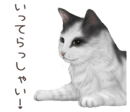 zumo cats sticker vol.3 (Japanese) sticker #8608390