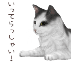 zumo cats sticker vol.3 (Japanese) sticker #8608390