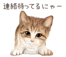 zumo cats sticker vol.3 (Japanese) sticker #8608392
