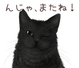 zumo cats sticker vol.3 (Japanese) sticker #8608393
