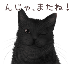 zumo cats sticker vol.3 (Japanese) sticker #8608393