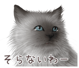 zumo cats sticker vol.3 (Japanese) sticker #8608394