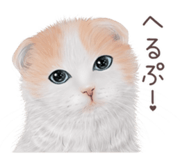 zumo cats sticker vol.3 (Japanese) sticker #8608396