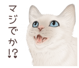 zumo cats sticker vol.3 (Japanese) sticker #8608398