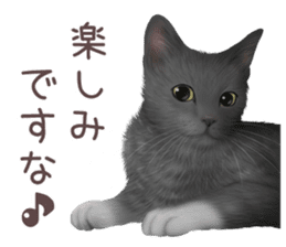 zumo cats sticker vol.3 (Japanese) sticker #8608399
