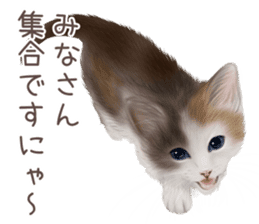 zumo cats sticker vol.3 (Japanese) sticker #8608400