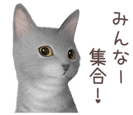zumo cats sticker vol.3 (Japanese) sticker #8608401