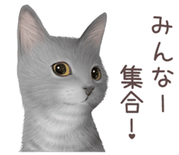 zumo cats sticker vol.3 (Japanese) sticker #8608401
