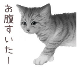 zumo cats sticker vol.3 (Japanese) sticker #8608405