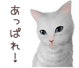 zumo cats sticker vol.3 (Japanese) sticker #8608406