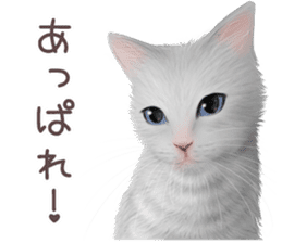 zumo cats sticker vol.3 (Japanese) sticker #8608406