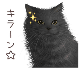 zumo cats sticker vol.3 (Japanese) sticker #8608408