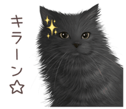 zumo cats sticker vol.3 (Japanese) sticker #8608408