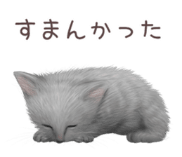 zumo cats sticker vol.3 (Japanese) sticker #8608409