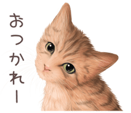 zumo cats sticker vol.3 (Japanese) sticker #8608411