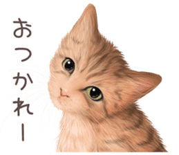 zumo cats sticker vol.3 (Japanese) sticker #8608411