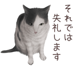 zumo cats sticker vol.3 (Japanese) sticker #8608413