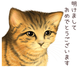 zumo cats sticker vol.3 (Japanese) sticker #8608416