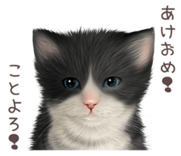 zumo cats sticker vol.3 (Japanese) sticker #8608417