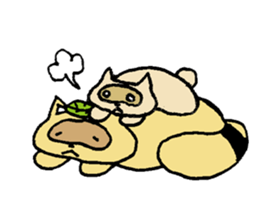 Stern Raccoon Dog sticker #8610869