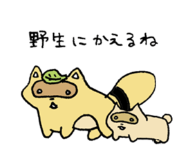 Stern Raccoon Dog sticker #8610875