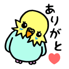 My lovely parakeet, Chappy sticker #8612301
