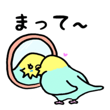 My lovely parakeet, Chappy sticker #8612328