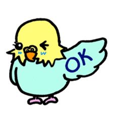 My lovely parakeet, Chappy sticker #8612330