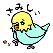 My lovely parakeet, Chappy sticker #8612334