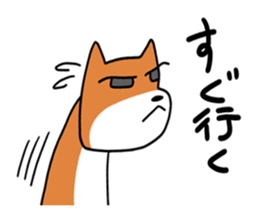 stoop dog sticker #8615525