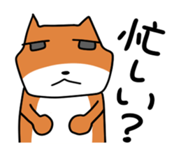 stoop dog sticker #8615534