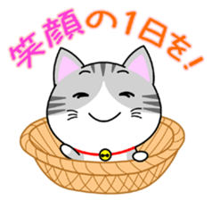 The kitty who knows how to reply Vol.1 sticker #8615541