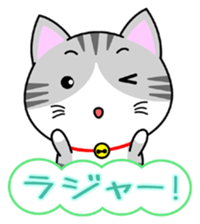The kitty who knows how to reply Vol.1 sticker #8615548