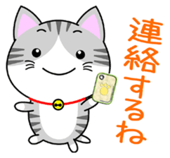 The kitty who knows how to reply Vol.1 sticker #8615571