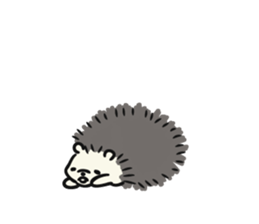 hedgehog gray sticker #8616307
