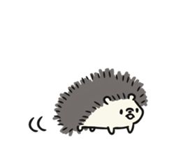 hedgehog gray sticker #8616308